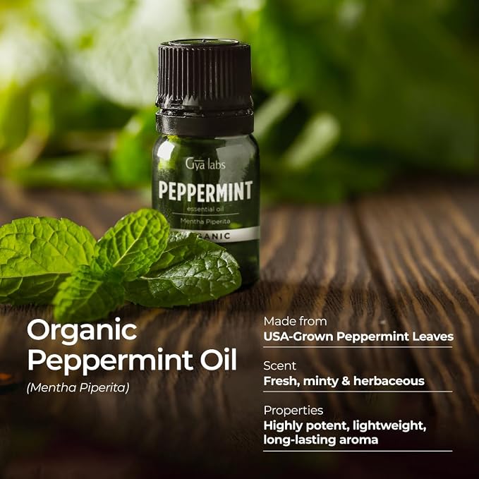 Gya Labs Organic Peppermint Essential Oil - 0.34 Fl Oz - for Skin, Hair, Diffuser, Aromatherapy, DIY Candle Making Scents (Pack of 2)