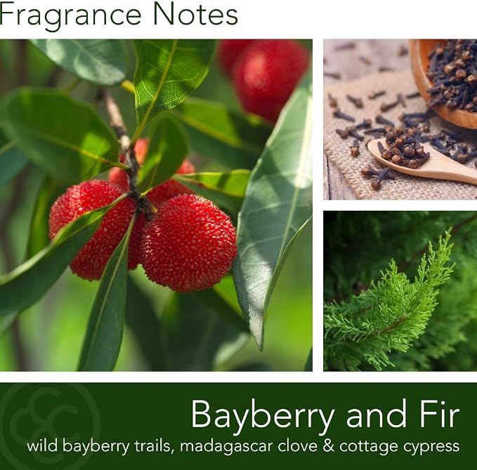 Colonial Candle Bayberry Fir Scented Jar Candle | 2-Wick Natural Soy Blend Wax Candle for Home | Relaxing Aromatherapy Candle Infused with Essential Oils | M. Baker Apothecary Glass Jar Candle