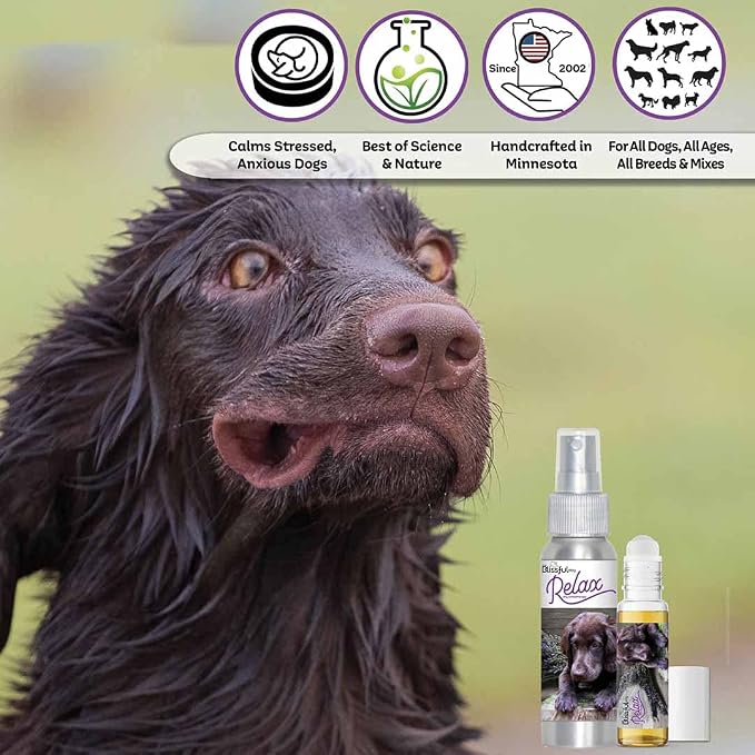 The Blissful Dog Flat-Coat Retriever Relax Roll-ON Aromatherapy for Dogs - Anxiety Relief for Dogs