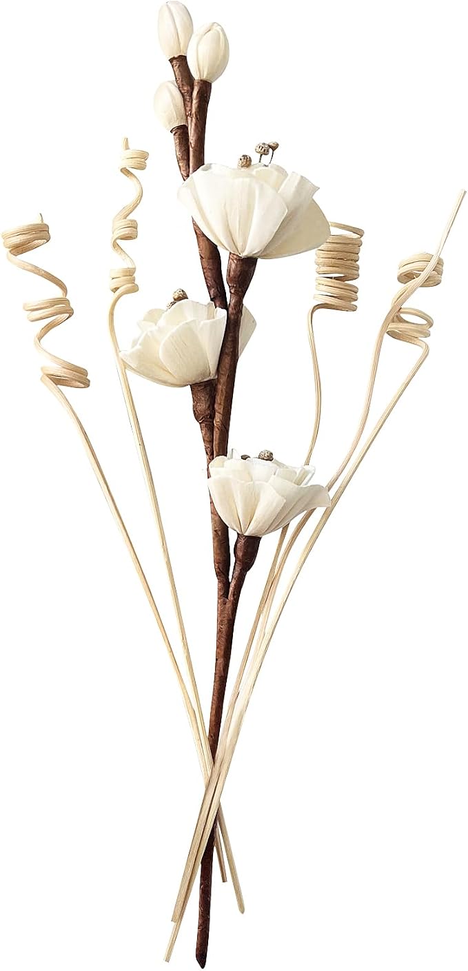 Reed Diffuser Sticks,Reed Diffuser Sticks Flowers,Reed Diffusers for Home,Bathroom Diffuser,Diffuser Set with Sticks,Natural Flower,White/Brown