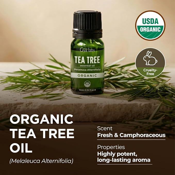 Gya Labs USDA Organic Tea Tree Essential Oil for Skin, Nails - 0.34 Fl Oz - Face, Hair, Diffuser, Aromatherapy, DIY Candle Making Scents