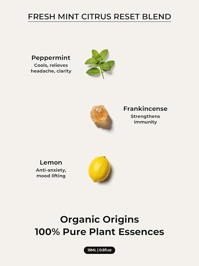 Breathe Essential Oil Roll On-15ml, Focus Aromatherapy Roller for Clear Breathing & Fresh Clarity, Botanical Blend with Peppermint, Tangerine & Frankincense, Mint Citrus Reset Ritual
