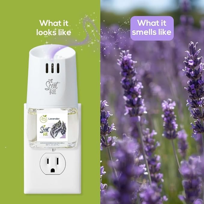 Scent Fill 100% Natural Lavender Plug in Air Freshener, Scented Oil Refills, 3 Refills