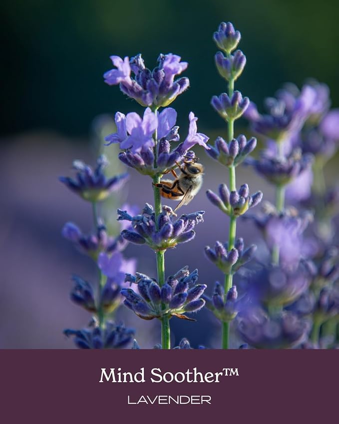Herb Pharm Mind Soother: Lavender Liquid Herbal Formula with Noble Kava & Lavender Essential Oil for Nervous System Support, Calming & Relaxing, Vegan, Gluten-Free, Non-GMO, Up to 3 Week Supply, 1 oz*