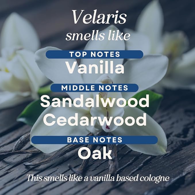 CANDECraftCo 2 Pack Bookish Scents Car Air Freshener for Essential Oils, Aromatherapy Automobile Diffuser, Gift for Her, Library, Book Lover Gift, Reading Bibliophile (Velaris)