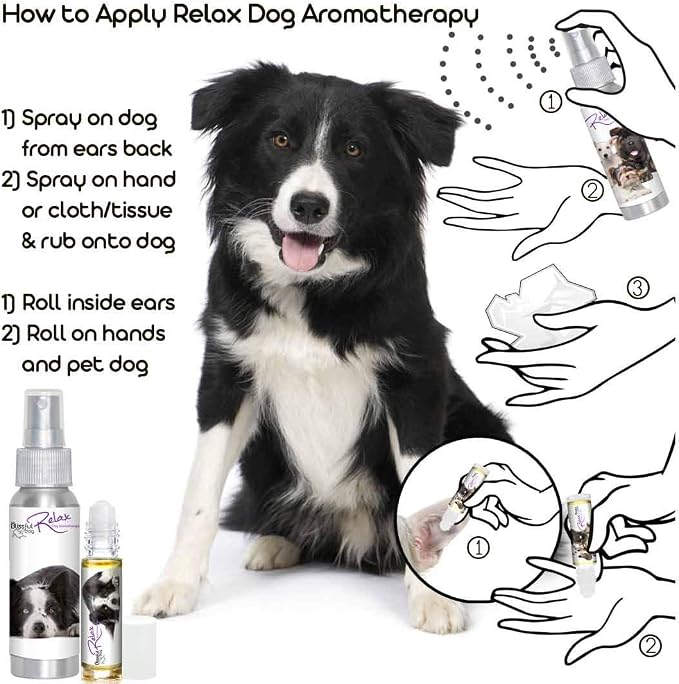 The Blissful Dog Border Collie Relax Dog Aromatherapy Spray for Your Dog's Anxiety