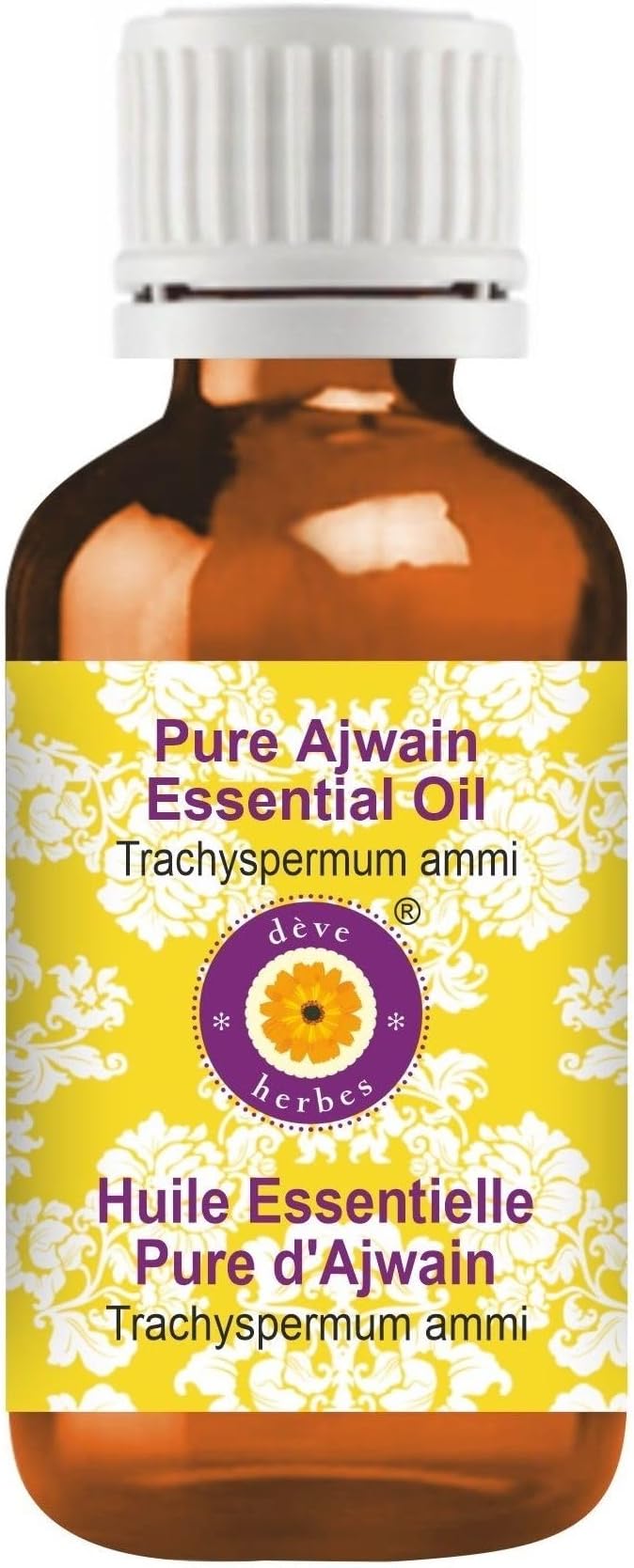 Deve Herbes Ajwain Essential Oil (Trachyspermum ammi) Pure | Non-Sticky | Non-Greasy | Lightweight | Men & Women | All Skin Types | Steam Distilled 50ml
