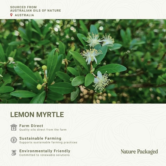Lemon Myrtle Essential Oil - Experience an Invigorating, Fresh Citrus Aroma - Pure, Undiluted Therapeutic Grade Essential Oil - 2lbs