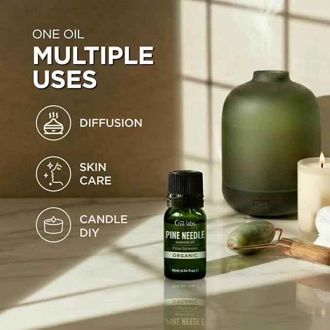 Gya Labs Organic Pine Needle Essential Oil - 0.34 Fl Oz - for Skin, Hair, Diffuser, Aromatherapy, DIY Candle Making Scents