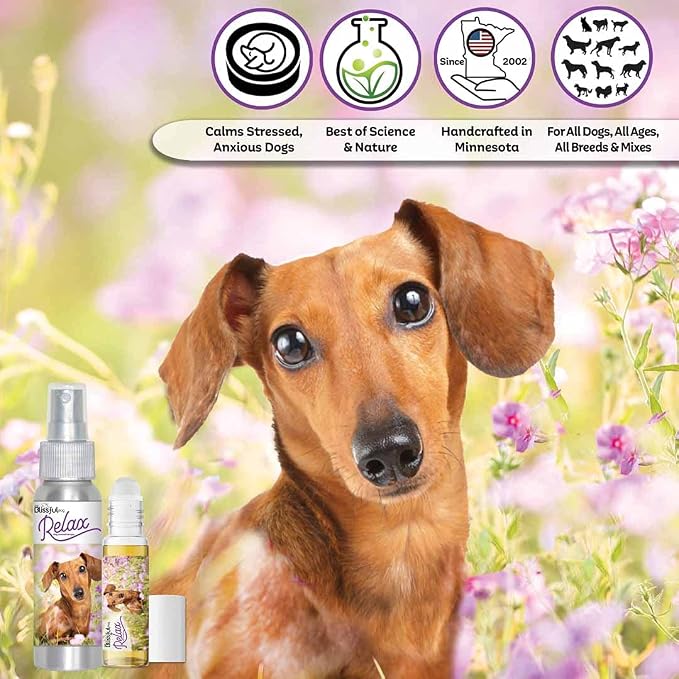 The Blissful Dog Dachshund Relax Dog Aromatherapy Spray for Your Dog's Anxiety