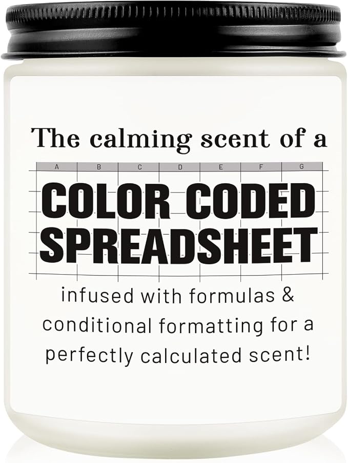 Funny Gifts for Accountant, Christmas Birthday Gift for Coworkers, Data Analyst, Marketing Specialist, Excel Spreadsheet, Accounting Gift, Boss Christmas Thanksgiving Gifts for Women