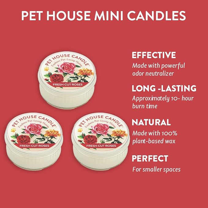 Pet House Mini Candles for Pet Odor Made with Natural Soy Wax, Plant Based, Dog and Cat Friendly Scented Candles, Fresh Cut Roses Pack of 3