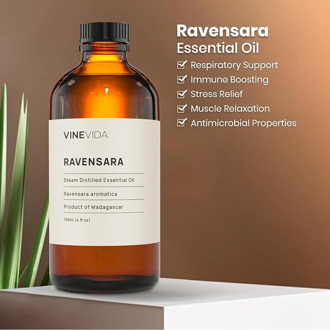 VINEVIDA Ravensara Essential Oil 4 oz - Undiluted, Pure, Vegan, and Sustainable