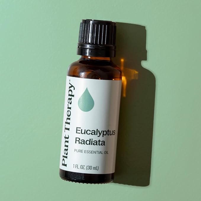 Plant Therapy Eucalyptus Radiata Essential Oil 30 mL (1 oz), 100% Pure, Undiluted, for Aromatherapy, Respiratory Support & Focus