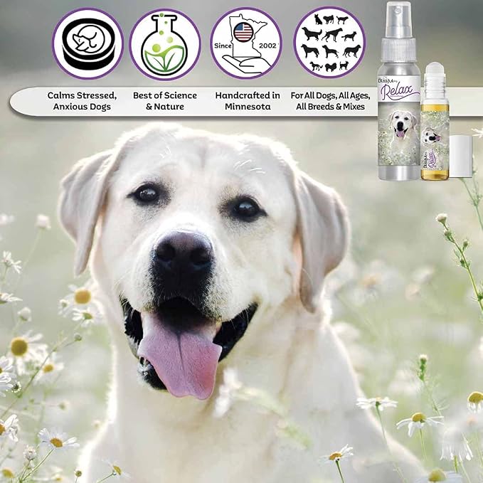 The Blissful Dog Labrador Retriever Relax Dog Aromatherapy Spray for Your Dog's Anxiety