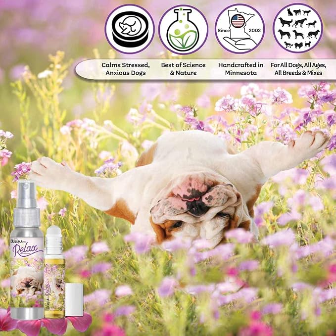 The Blissful Dog Bulldog Relax Aromatherapy Spray for Your Dog's Anxiety