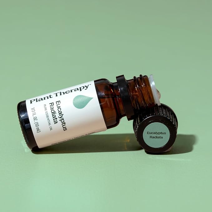 Plant Therapy Eucalyptus Radiata Essential Oil 10 mL (1/3 oz), 100% Pure, Undiluted, for Aromatherapy, Respiratory Support & Focus