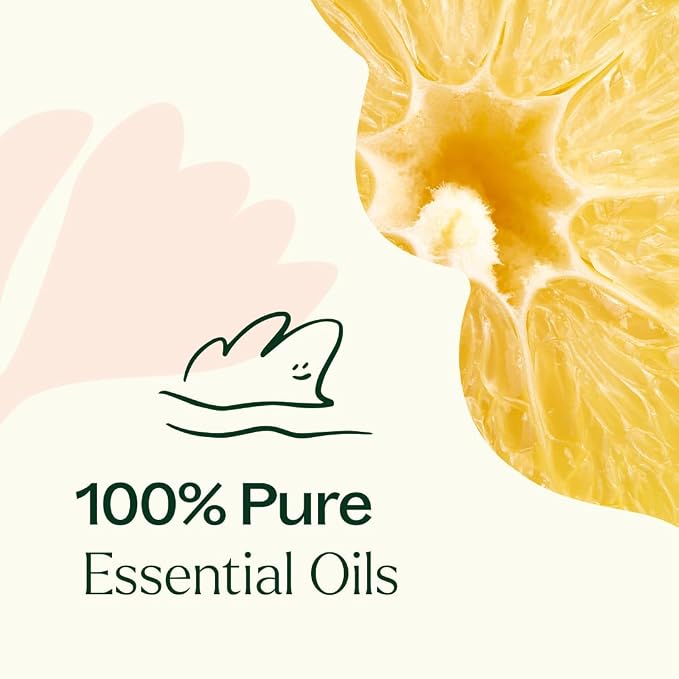 Plant Therapy Lemon Cupcake Essential Oil Blend 10 mL (1/3 oz) 100% Pure, Undiluted, Natural Aromatherapy, Cozy, Sweet, Bright Scent