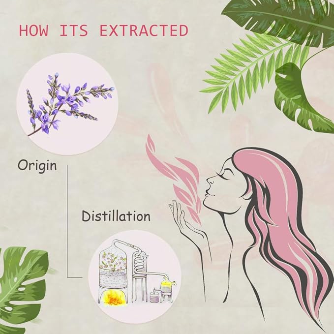 Violet Essential Oil - 100% Pure Organic Natural Plant (Viola odorata) Violet Oil for Diffuser, Aroma, Spa, Massage, Yoga, Perfume, 0.33oz