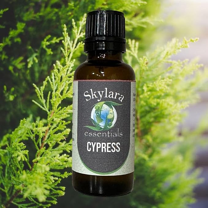 Cypress Essential Oil (30ml, 30ml Tranquil Cypress)
