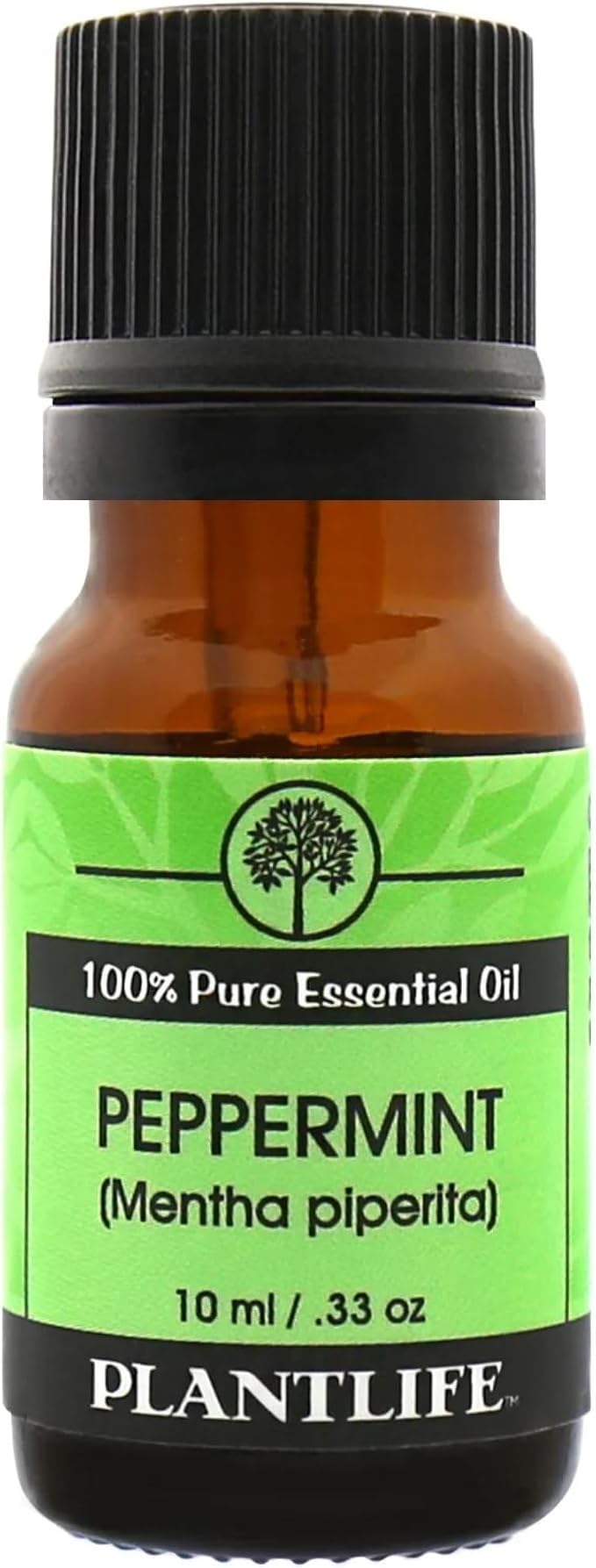 Plantlife Holiday Set 3-Pack (Peppermint, Cinnamon Leaf, and Pine) Aromatherapy Essential Oil Set - No Additives or Fillers - Made in California 10 ml