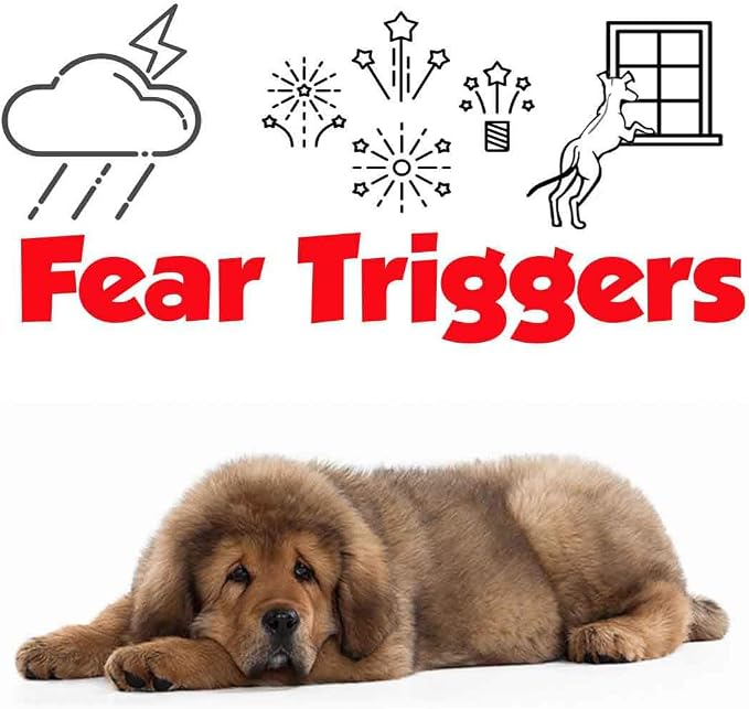 The Blissful Dog Tibetan Mastiff Relax Roll-ON Aromatherapy for Dogs - Anxiety Relief for Dogs