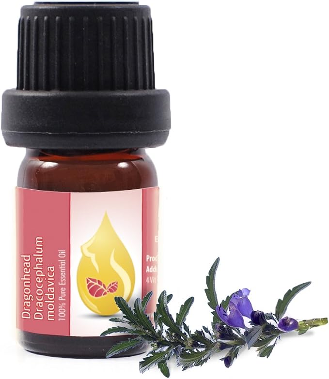 Essences Bulgaria Moldavian Dragonhead Essential Oil 1/3 Fl Oz | 10ml | Dracocephalum Moldavica | 100% Pure and Natural | Undiluted | Therapeutic Grade | Family Owned Farm | Steam-Distilled | Non-GMO