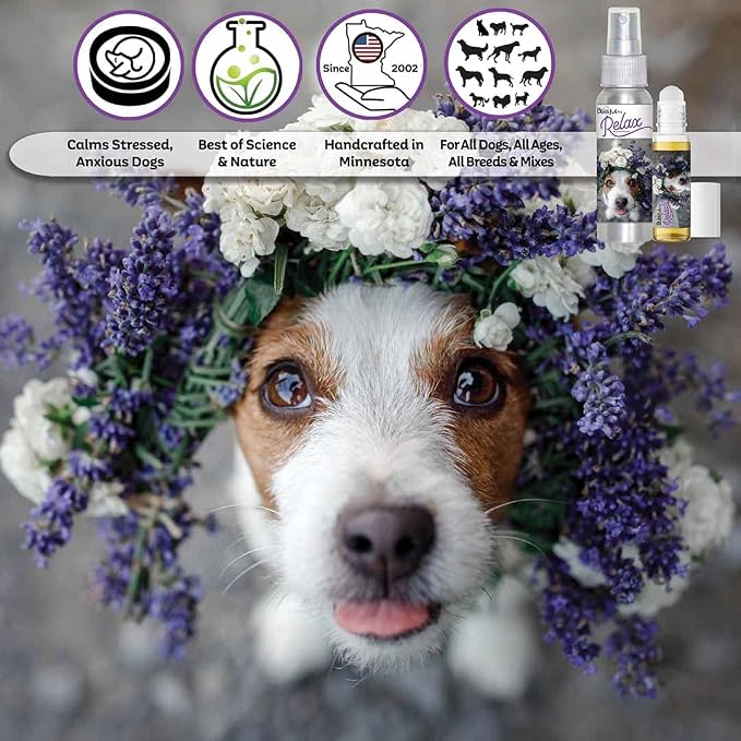 The Blissful Dog Jack Russell Terrier Relax Dog Aromatherapy Spray for Your Dog's Anxiety