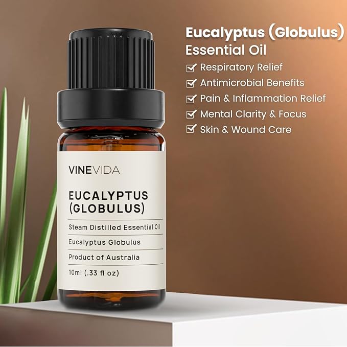 VINEVIDA Eucalyptus Essential Oil - 10 mL Undiluted - DIY Candle Scents - Safe for Skin