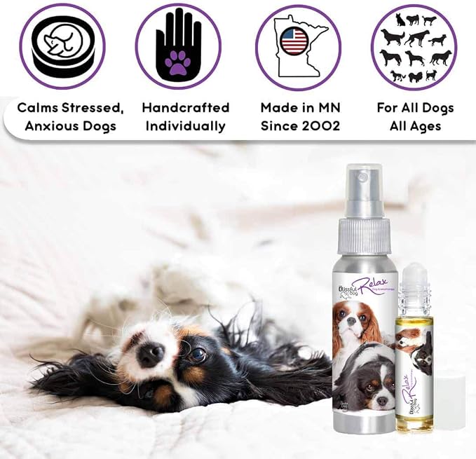 The Blissful Dog Cavalier King Charles Spaniel Relax Roll-ON Aromatherapy for Dogs - Anxiety Relief for Dogs