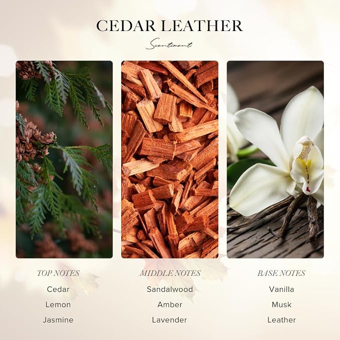 Scentiment Diffuser Oil – Cedar Leather | Warm Woody Fragrance with Notes of Leather, Cedarwood, Amber & Soft Vanilla | for Cold Air Diffusers - 0.68 fl oz (20 mL)