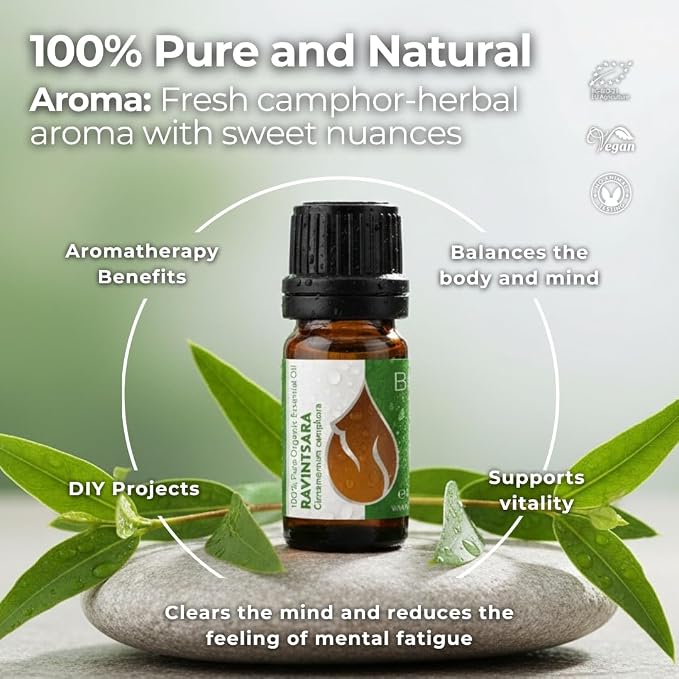 Essences Bulgaria Organic Ravintsara Essential Oil 0.34 Fl Oz | 10ml | Cinnamomum camphora | 100% Pure and Natural | Undiluted | Therapeutic Grade | Aromatherapy | Cosmetics | Cruelty Free | Non-GMO