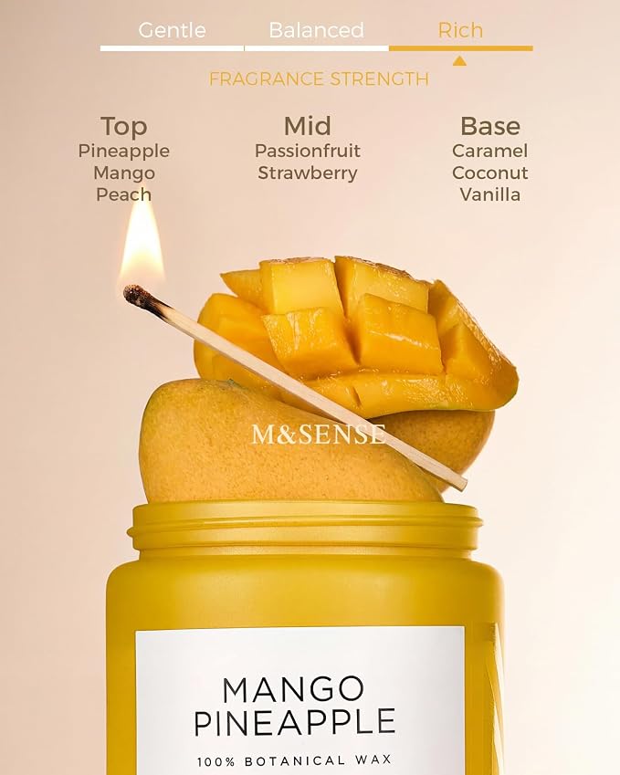 M&SENSE Mango Pineapple Scented Candle, 19.4oz Non Toxic Natural Soy Wax 110 Hours Long Lasting Burn Fruit Scent Summer Gifts for Housewarming, 2 Wick Aromatherapy Candle for Women Men Family Friends