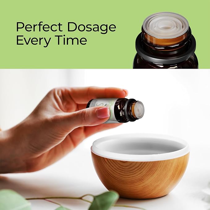 Good Essential Pine Forest Fragrance Oil 1 Fl Oz (Pack of 1) for Diffusers Candles Soaps Perfume and DIY Crafts