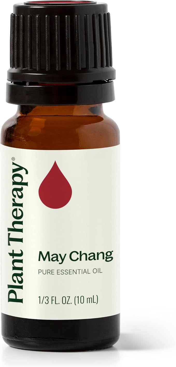 Plant Therapy May Chang Essential Oil 10 mL (1/3 oz) 100% Pure, Undiluted, Litsea Cubeba, Aromatherapy, Clear Skin, Energy, and Digestion Support