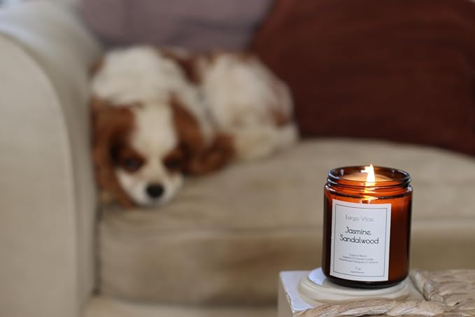 Organic Coconut Wax Aromatherapy Candle | Jasmine & Sandalwood | Non-Toxic, Pet Safe, Allergy Friendly | Phthalate Free | Zero Waste Sustainable Gift
