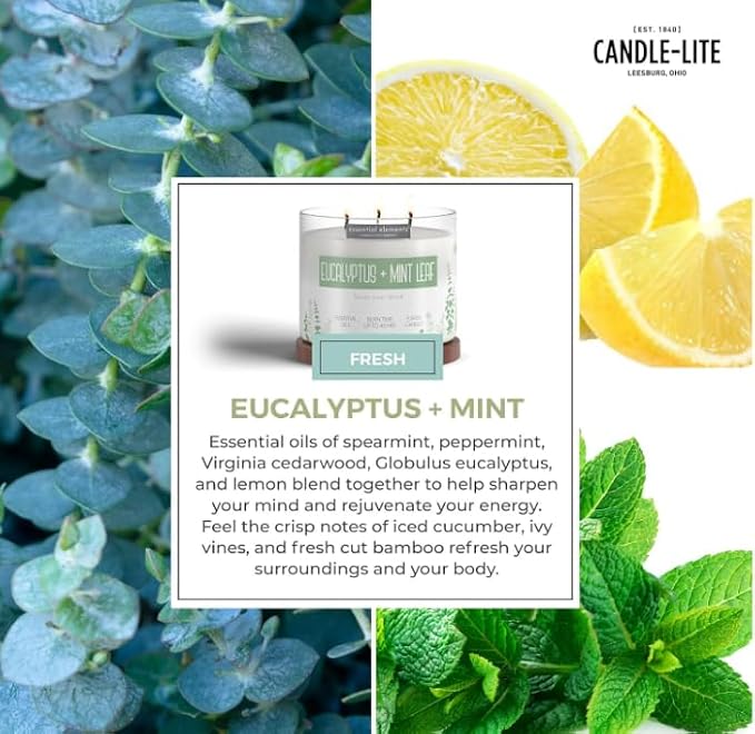 Essential Elements by Candle-lite Scented Candles, Eucalyptus & Mint Leaf Fragrance, One 14.75 oz. Three-Wick Aromatherapy Candle with 45 Hours of Burn Time, Off-White Color