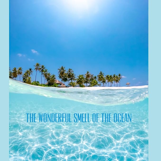 Aqua from Our Beach Collection - Perfect for Adding Aroma to Freshies, Candles, Soaps, and Diffusers - 4 oz