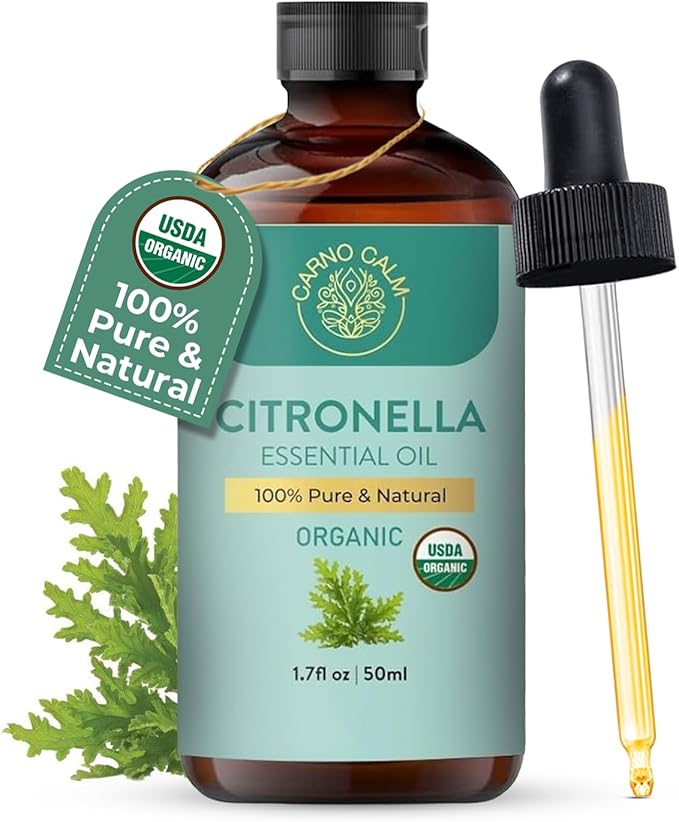 Organic Citronella Essential Oil 50 Ml | USDA Certified Organic Citronella Oil | for Diffuser | for Body and Skin | Steam Distilled | Therapeutic Grade | 1.7 fl oz