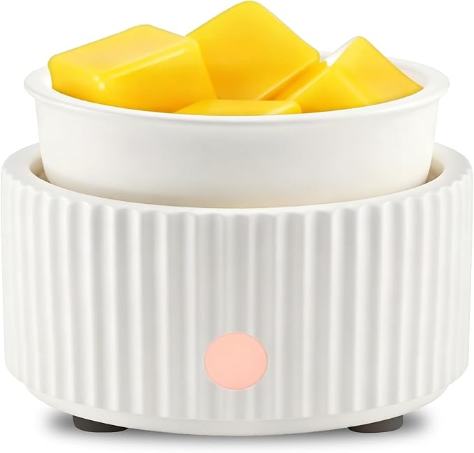 EQUSUPRO Wax Melt Warmer for Scented Wax Melts- Electric 4 in-1 Ceramic Candle Wax Warmer Burner Fragrance Wax Melter for Home Office Bedroom Living Room Decor & Gifts for Women