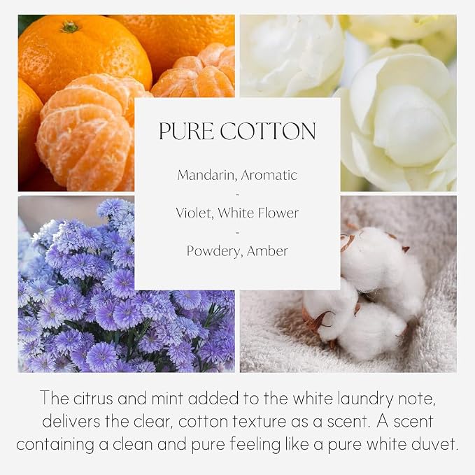 396 st. Preserved Baby's Breath Flower Reed Diffuser, Pure Cotton, 200ml(6.7oz) / Reed Diffuser Sets, Home Fragrance, Scented Oils, Home & Bathroom Décor