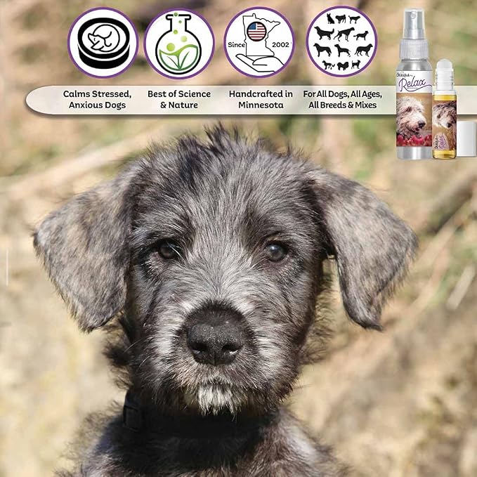 The Blissful Dog Irish Wolfhound Relax Dog Aromatherapy, 2.67-Ounce Spray