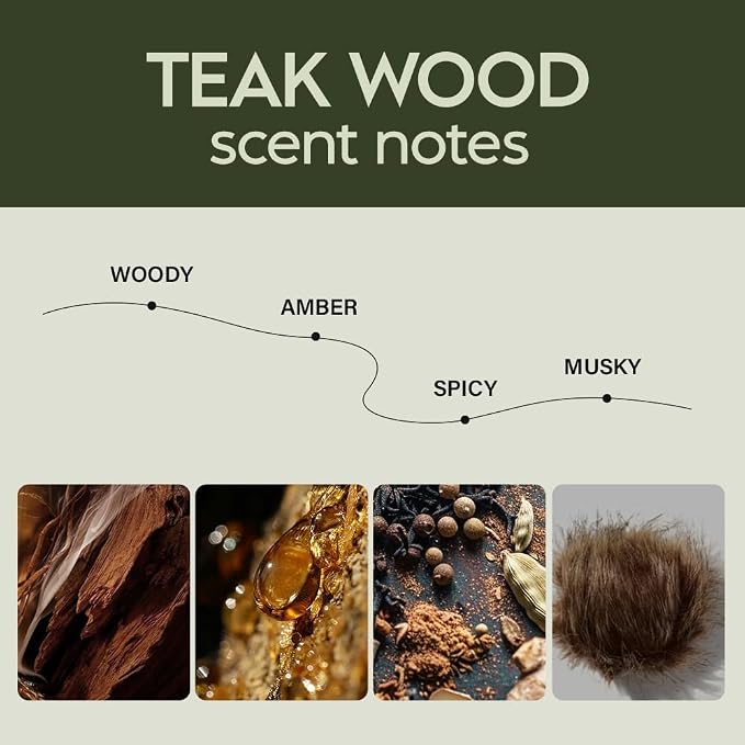 Hanging Car Air Freshener 2 Pack 8ML - Light Sandalwood Fragrance - Car Diffuser - Helps Reduce Odors - Car Interior Accessory