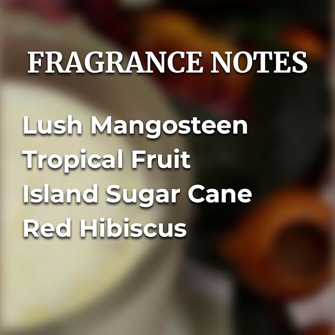 Habersham Rondure Candle – Mangosteen Ambrosia Scented Candle, Up to 55 Hours Burn Time, Authentic and Long Lasting Fragrance, Soy Blend Wax, 9.5 oz Glass Jar Candle
