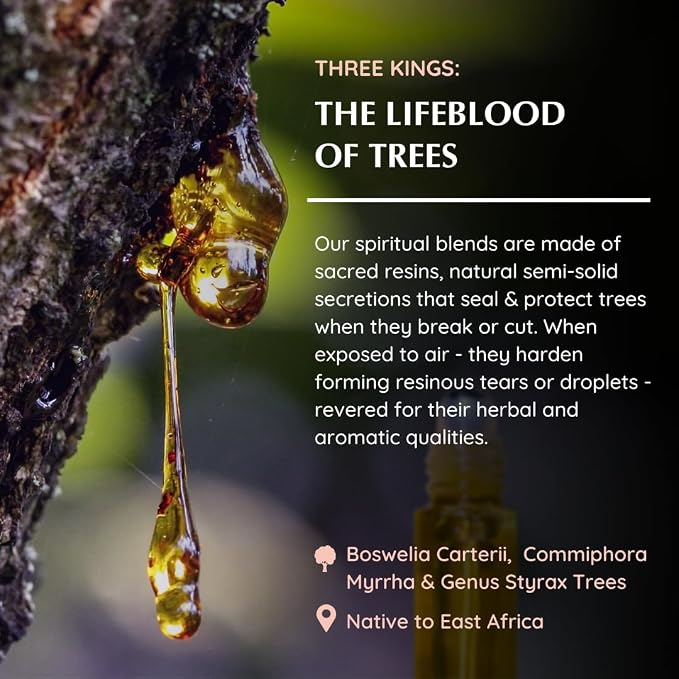 Three Kings Resin Essential Oil Roll-On | 1 x 10ml / 0.33 fl oz by Aromafume| Ideal for Spirituality & Rituals | Made with Pure Boswellia, Serrta & Natural extracts | Non-Alcoholic, Non-Toxic & Vegan