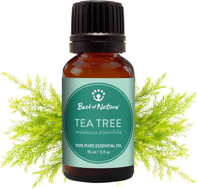 Tea Tree Essential Oil for Diffuser Aromatherapy – Best of Nature 100% Pure Undiluted Oils for DIY, Home Fragrance, and Topical Use