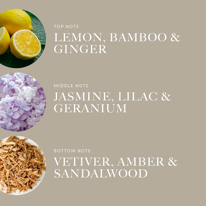 Aroma360 | Champagne Supernova Pro-Pod Oil Blend | Luxury Hotel Inspired Diffuser Scents | Aromatherapy Scent Diffuser Oil | Bamboo, Jasmine and Ginger 1.7 fl oz, 50 mL