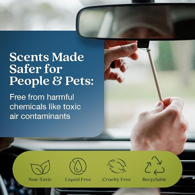 Enviroscent Non-Toxic* Car Air Freshener Auto Stix® - Scents Made Safer - Enjoy Fragrance Lasts Up to 480 Days - Includes Auto Stix® Diffusers & Elastic Loops - Coastal Storm & Teakwood (Pack of 8)