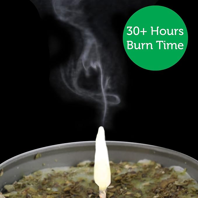 SOUL STICKS Smudge Candle for Cleansing House, Meditation, Chakra Healing, Aromatherapy | 3.5 Ounce Smudge Candle for Spiritual Cleansing (White Sage & Peppermint)