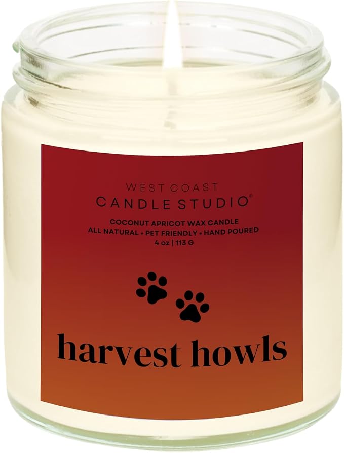 Pet Safe Candle for Dogs | Non Toxic Coconut Apricot Wax Candle | Clean Burning, Paraffin-Free | Pet Odor Eliminating Home Fragrance | Harvest Howls | 4 oz